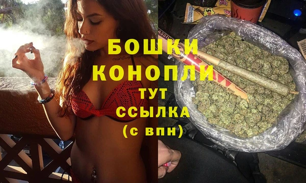 тгк Краснослободск