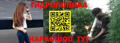 a pvp Аргун