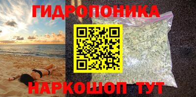 a pvp Аргун