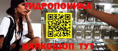a pvp Аргун