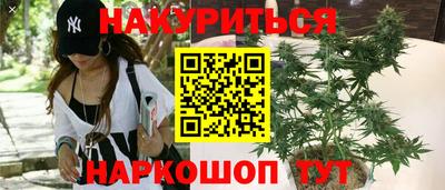 a pvp Аргун