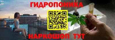 a pvp Аргун