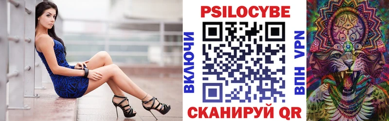 OMG как войти  где найти   Архангельск  Псилоцибиновые грибы Cubensis 