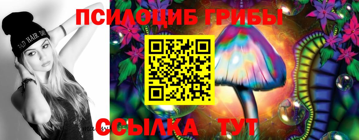 Псилоцибиновые грибы GOLDEN TEACHER  цена   Вход с VPN  Архангельск  Псилоцибиновые грибы ЛСД 